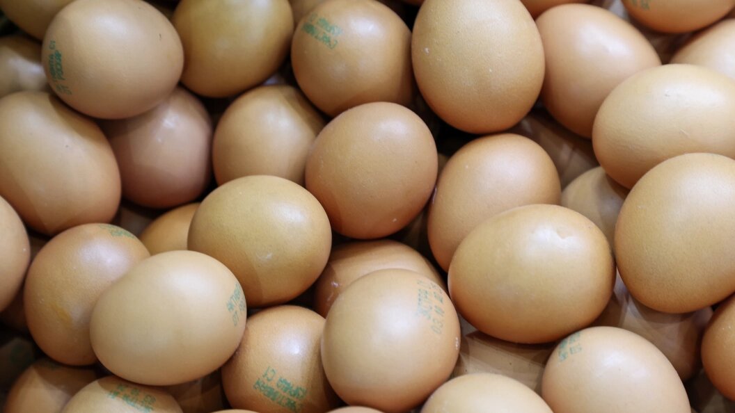    Фото: Belkin Alexey/Globallookpress