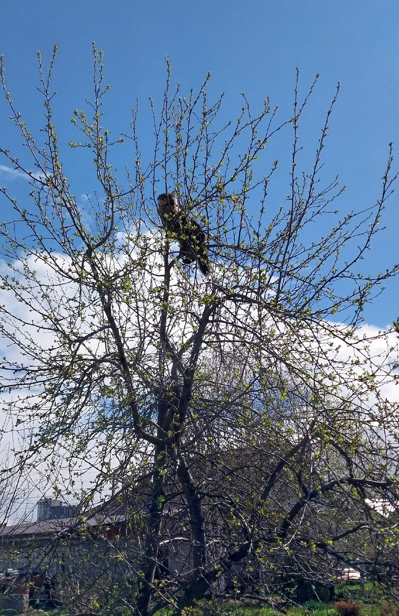 Люся моя ,радуется солнышку.