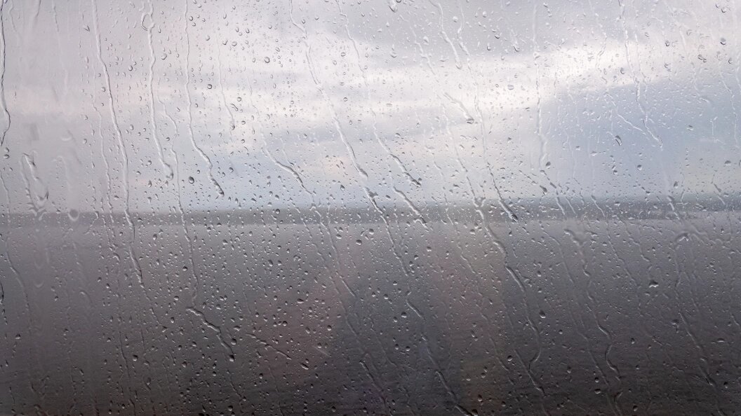    Фото: Svetlana Vozmilova/Global Look Press