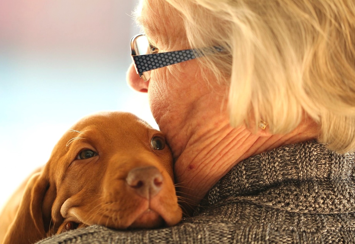 из свободных источников