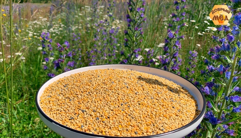 Пыльца автор Семейная пасека Ларионовых