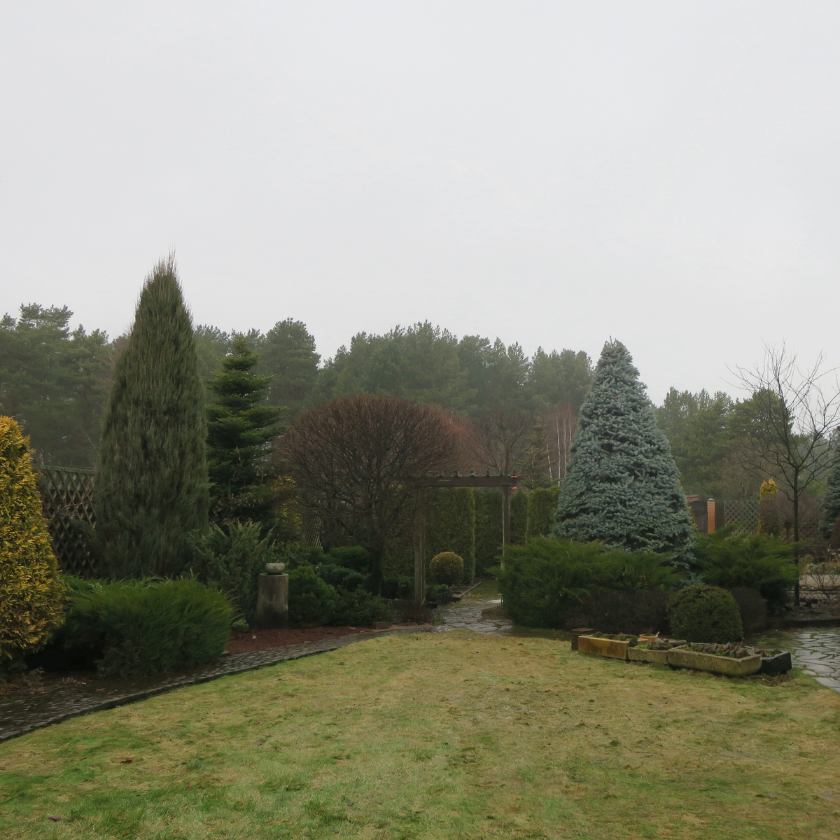 Туманно и дождливо