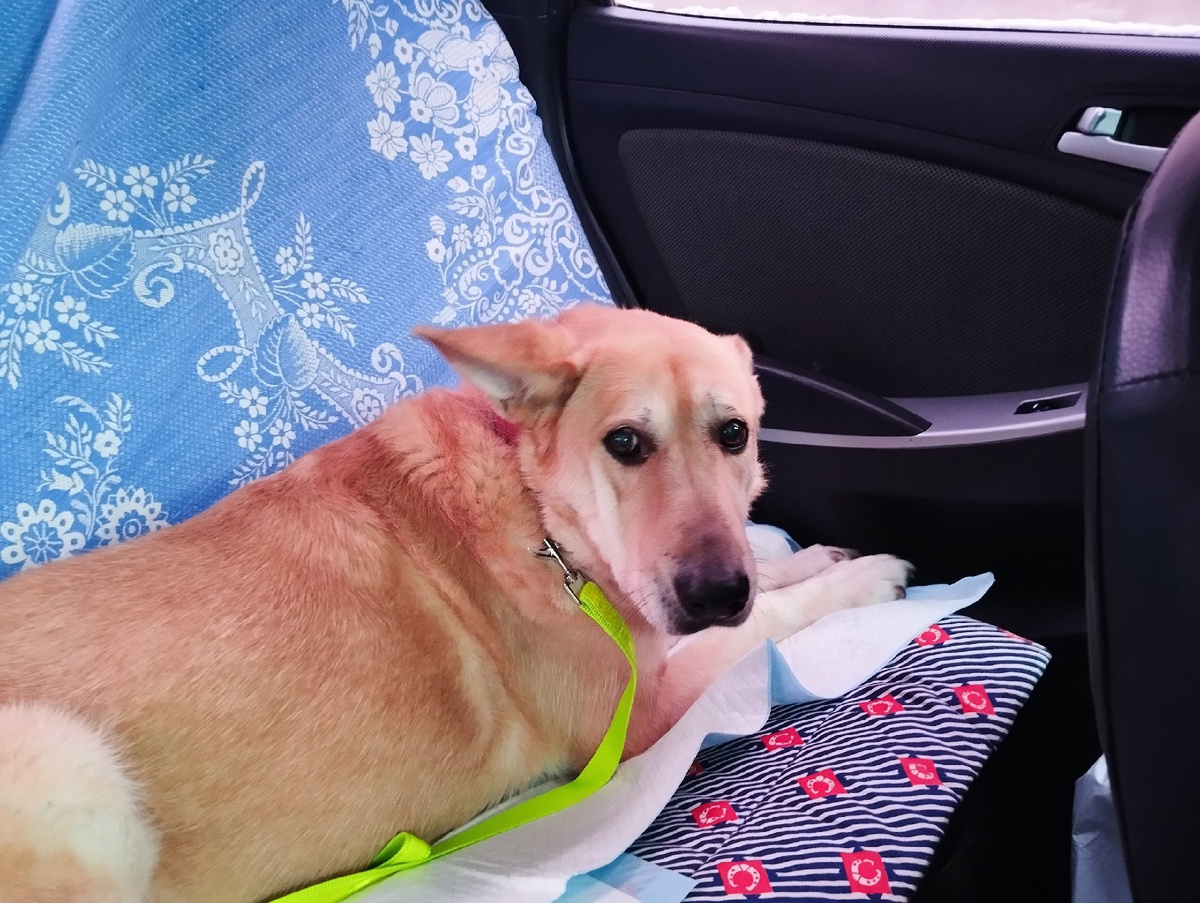 Сначало было очень грустно и страшно 