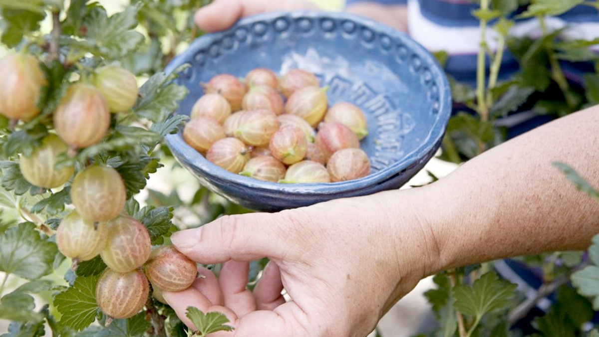 Результат применения финского метода: разница в размере наглядна