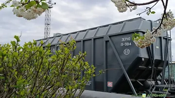 Фото:© Артем Борисов / Glavagronom.ruЕвросоюз введет пошлины на весь сельскохозяйственный импорт из России