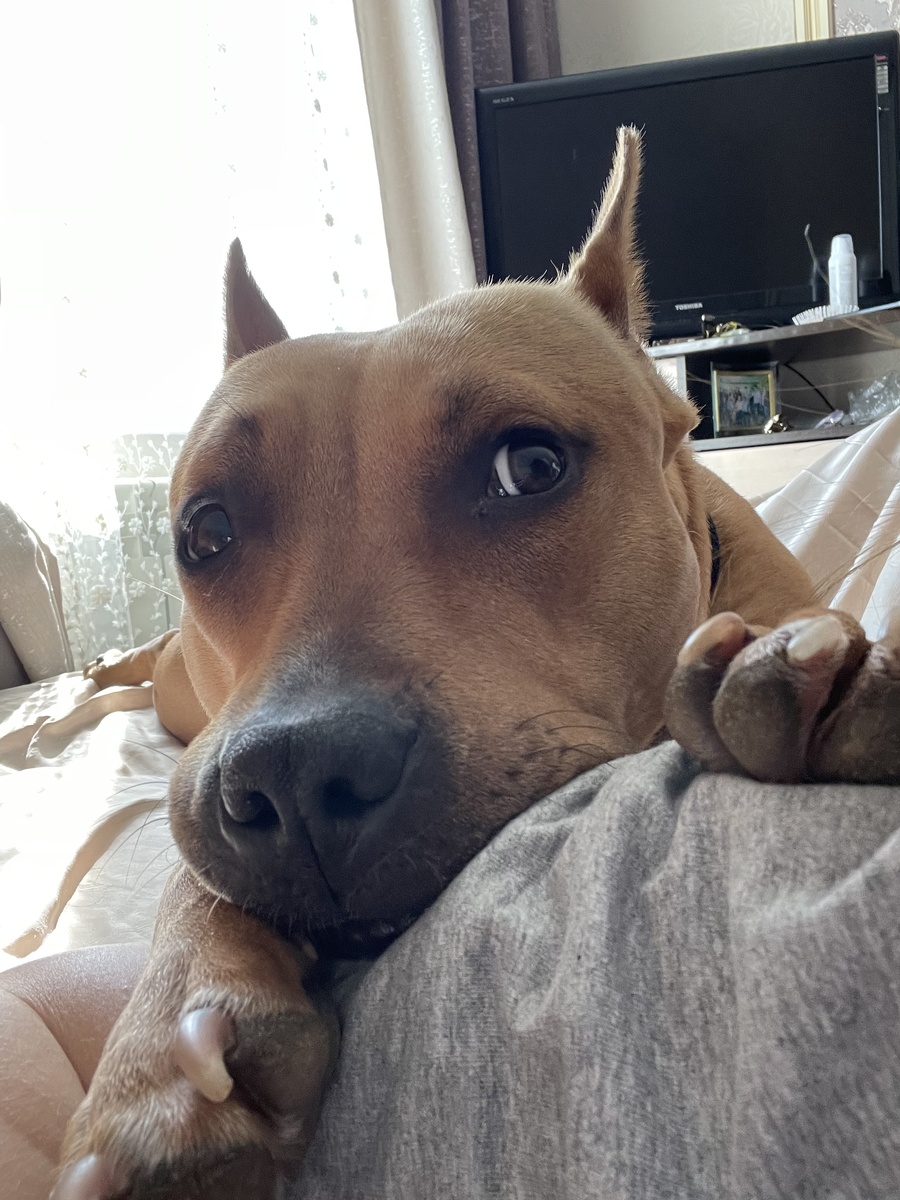 Так мы отдыхаем 