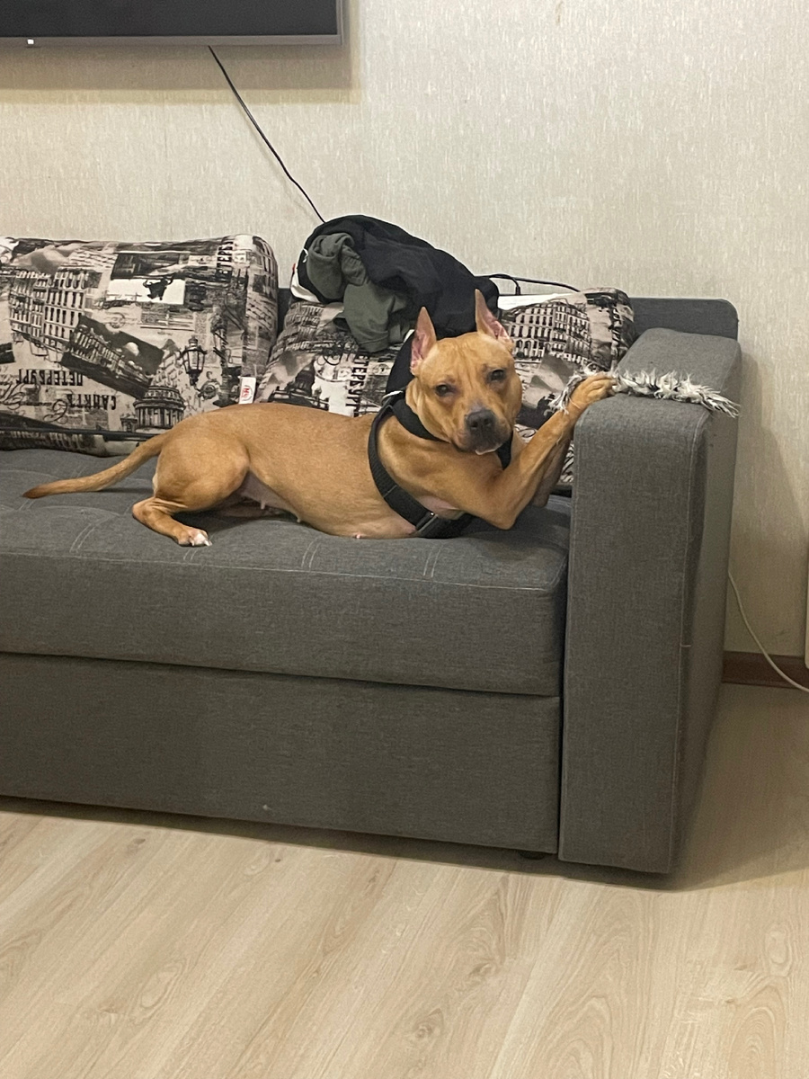 Это я играла со своей игрушкой 