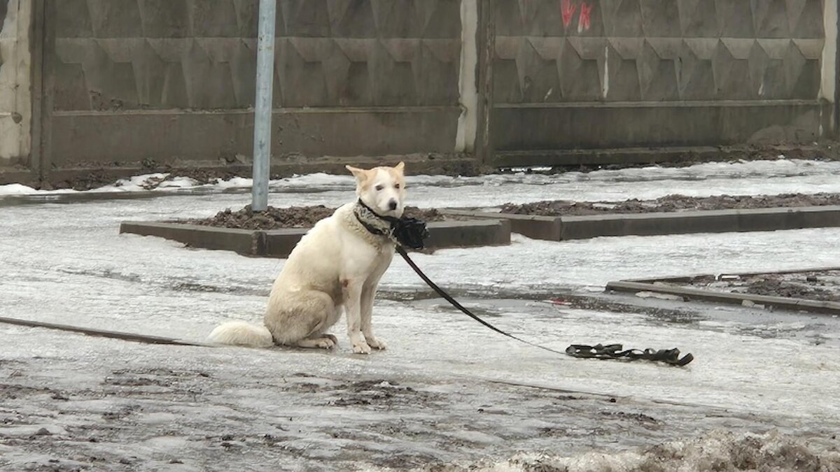    Фото: vk.com/sdnovosti