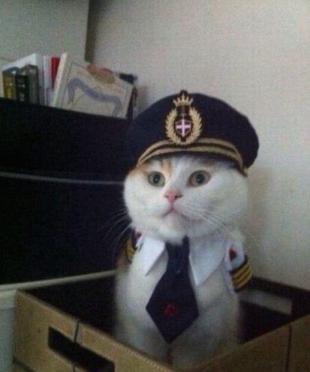 Защитник «сильной» женщины