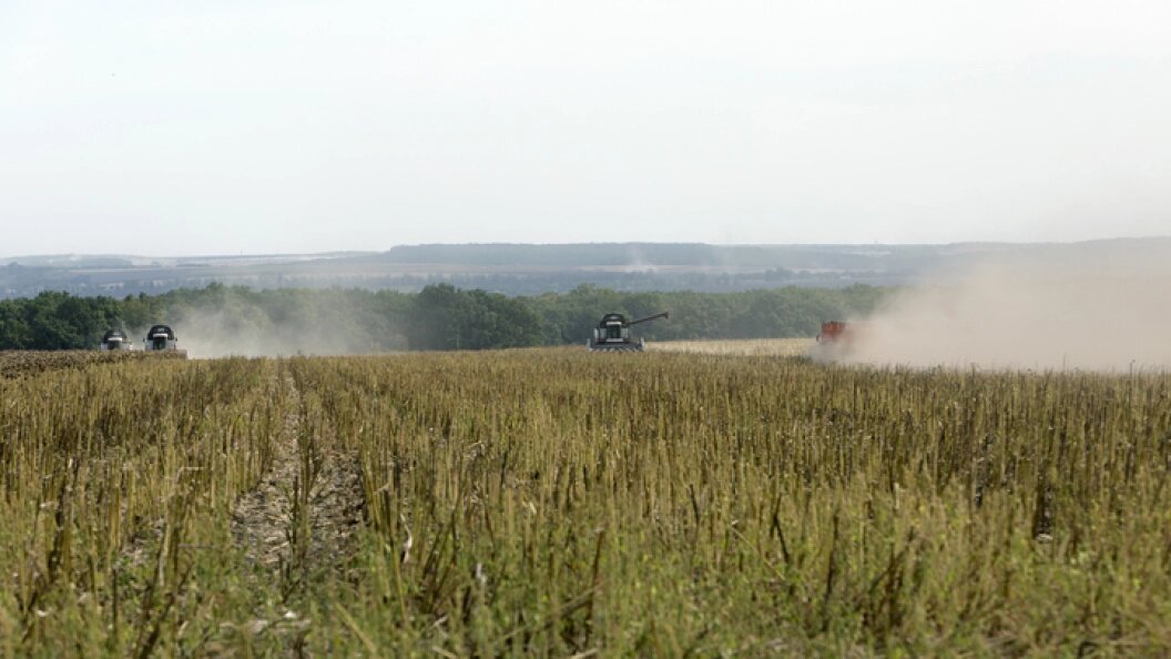    Фото: Nikolay Gyngazov/Globallookpress