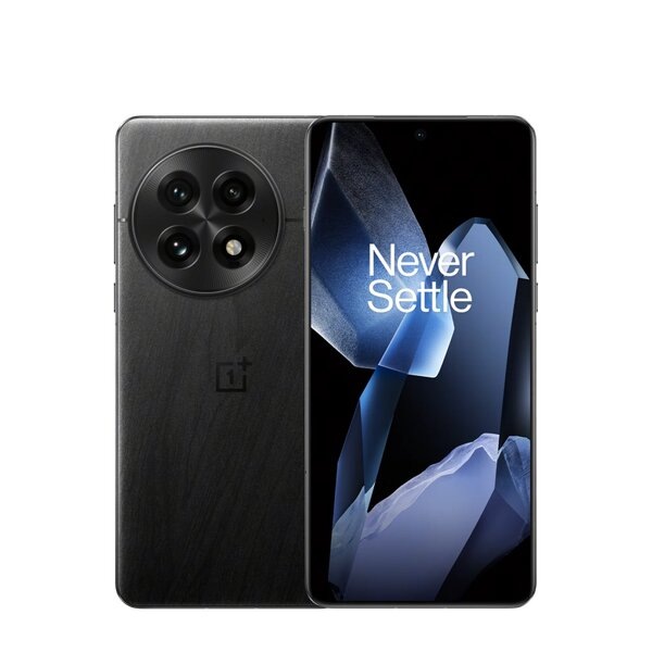 OnePlus 13