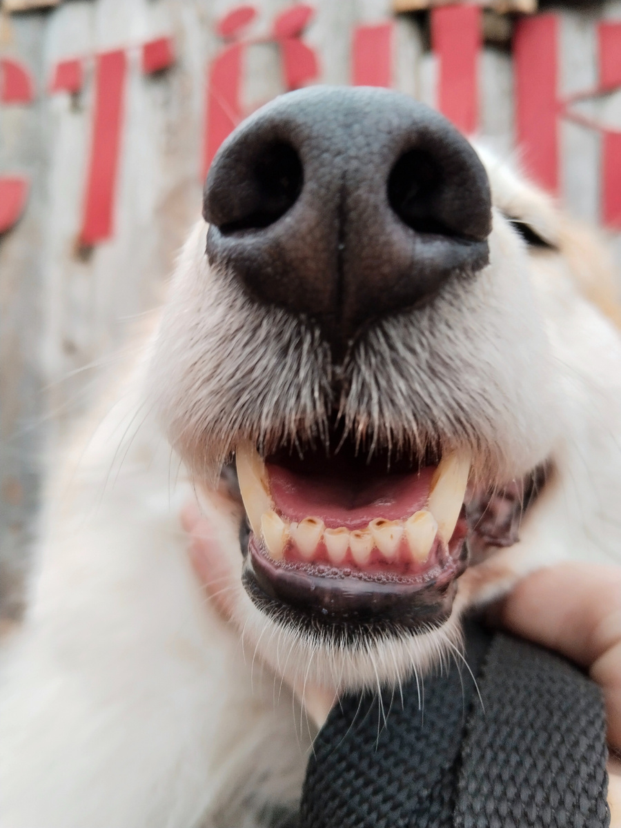 Всем пока👋🏼