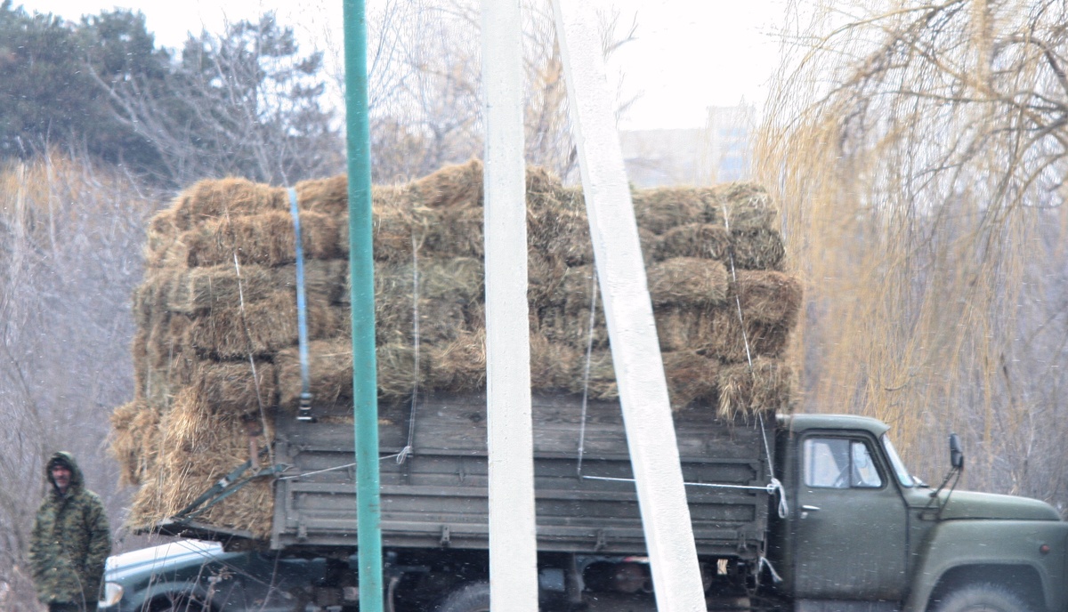 Автор: https://commons.wikimedia.org/w/index.php?title=User:Jan.CIVICS&action=edit&redlink=1; Лицензия https://creativecommons.org/licenses/by-sa/3.0/