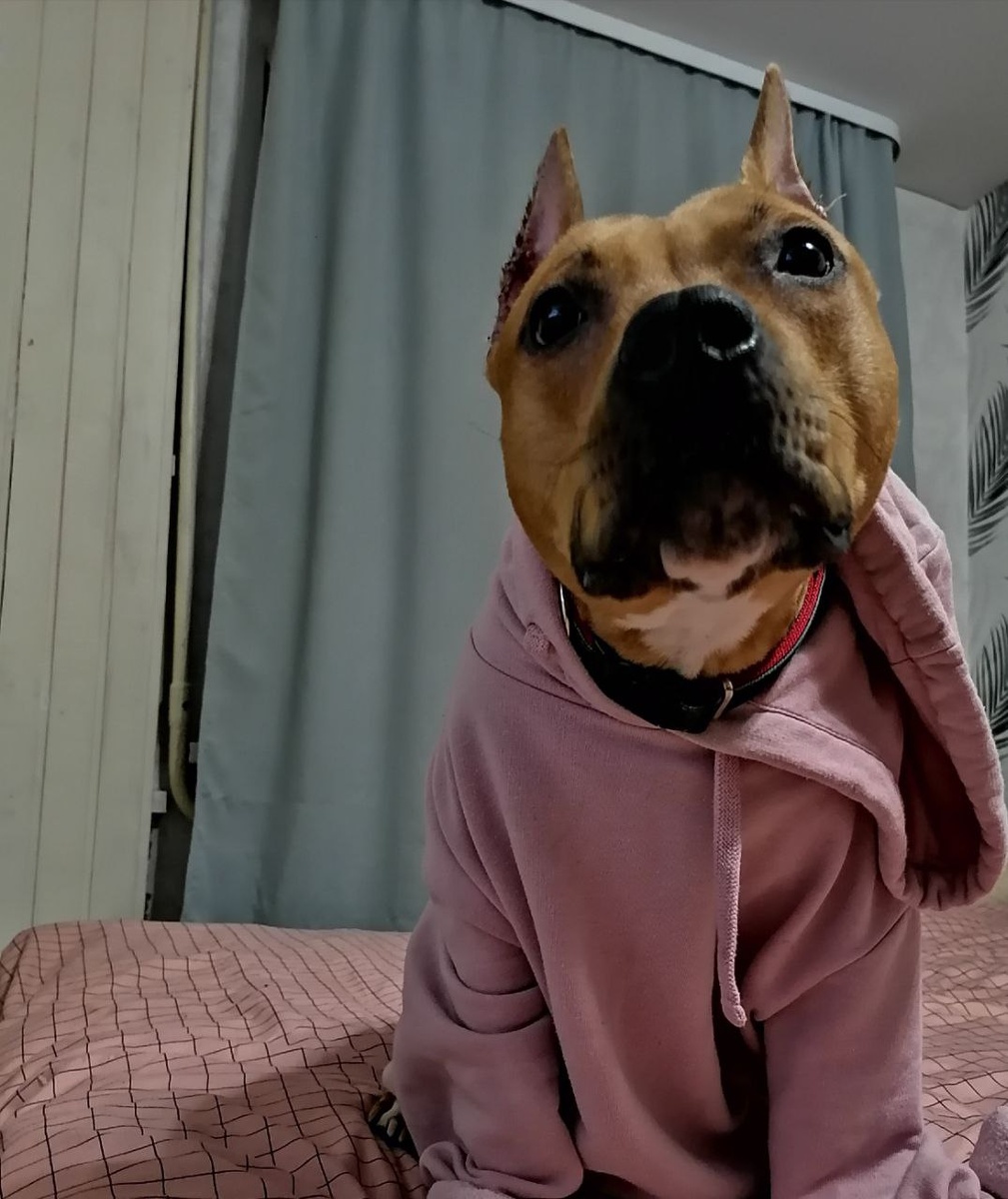 Мой наряд❤️