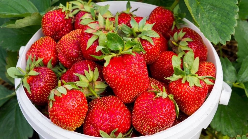 Фото из архива