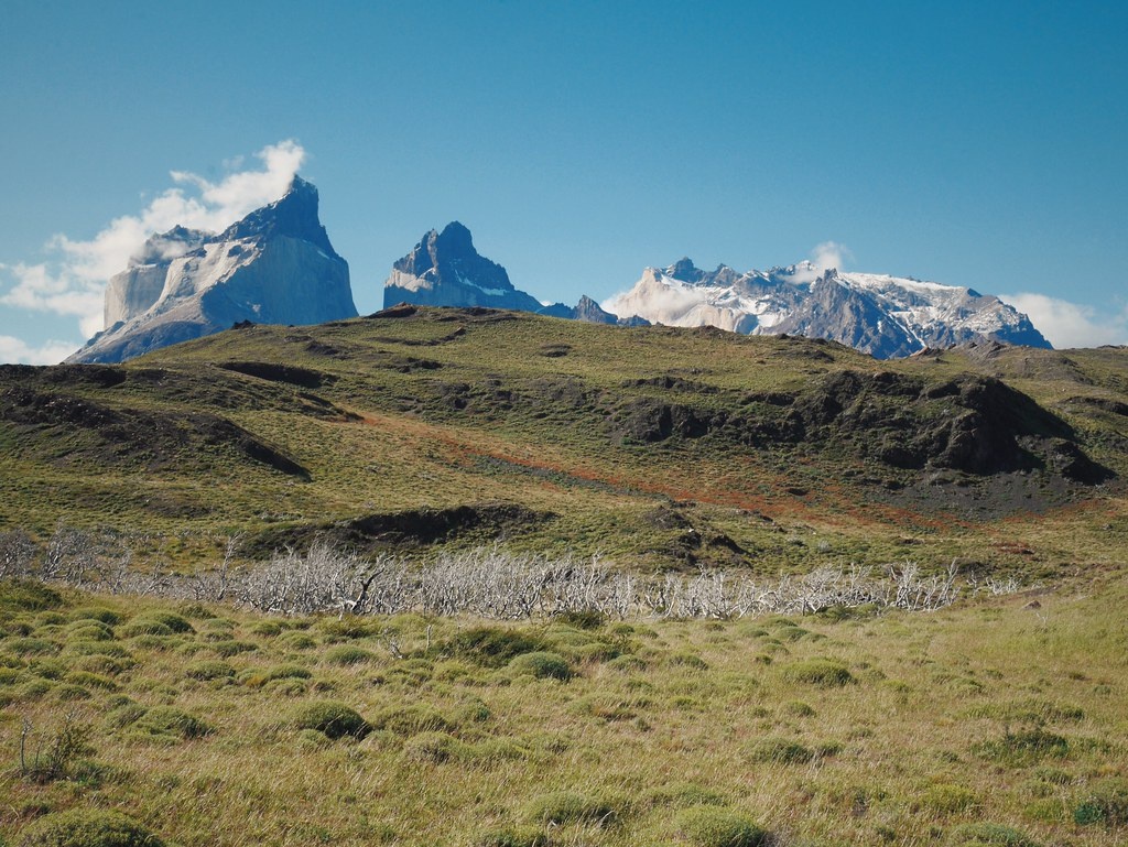 Автор: https://www.flickr.com/photos/39780161@N06; Лицензия https://creativecommons.org/licenses/by-nc/2.0/