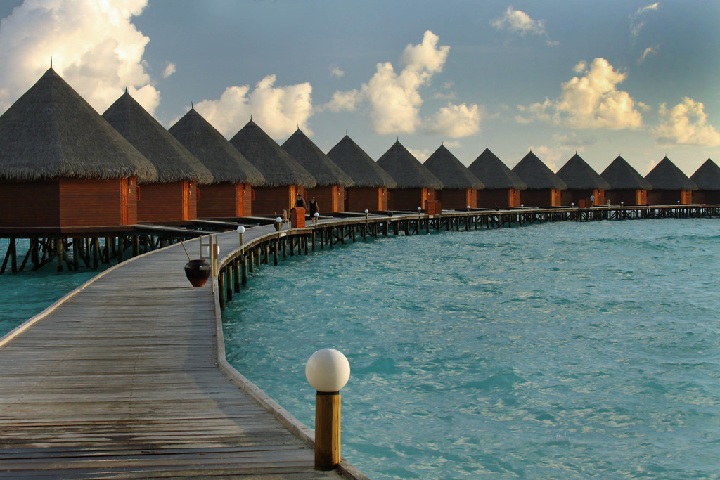 Автор: https://www.flickr.com/photos/41228929@N06; Лицензия https://creativecommons.org/licenses/by/2.0/