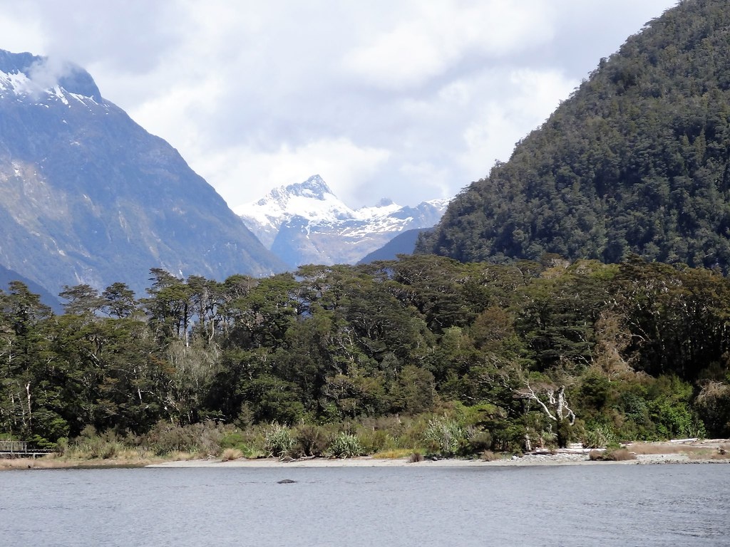 Автор: https://www.flickr.com/photos/82134796@N03; Лицензия https://creativecommons.org/licenses/by-nd/2.0/