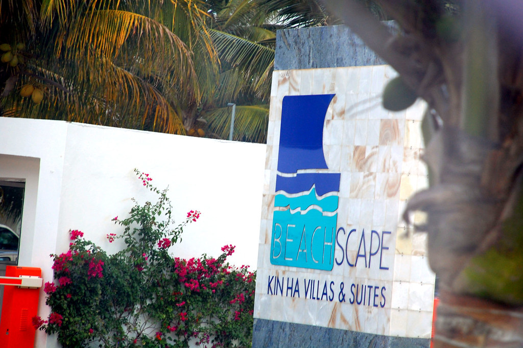 Автор: https://www.flickr.com/photos/31113376@N08; Лицензия https://creativecommons.org/licenses/by-nc-sa/2.0/