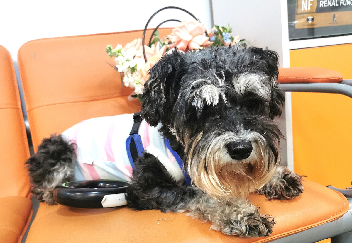 В ожидании приёма врача 