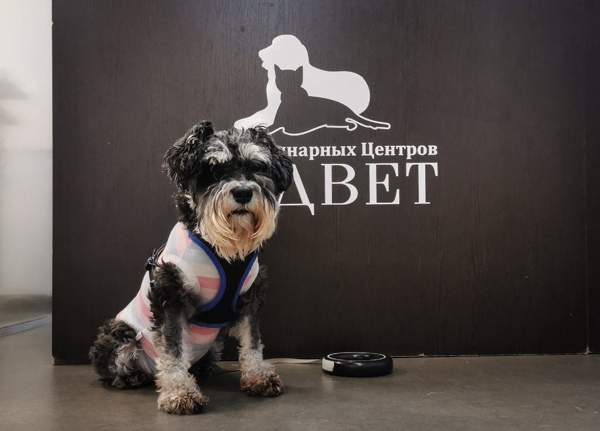 Это ещё в декабре