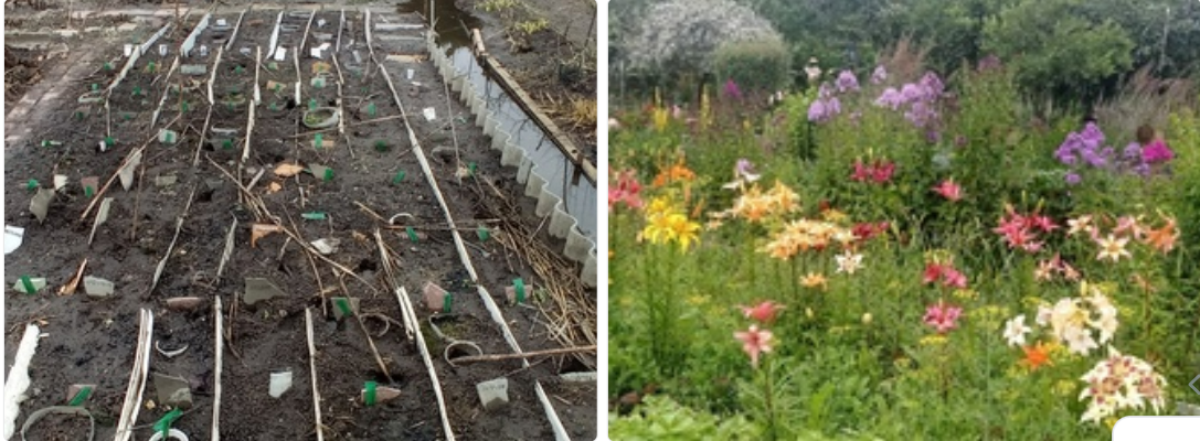 весенний шок