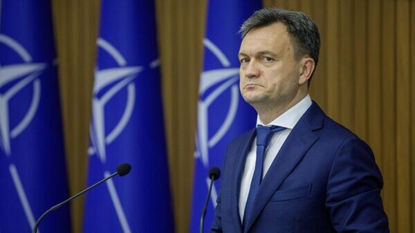    © Sputnik / Rodion Proca