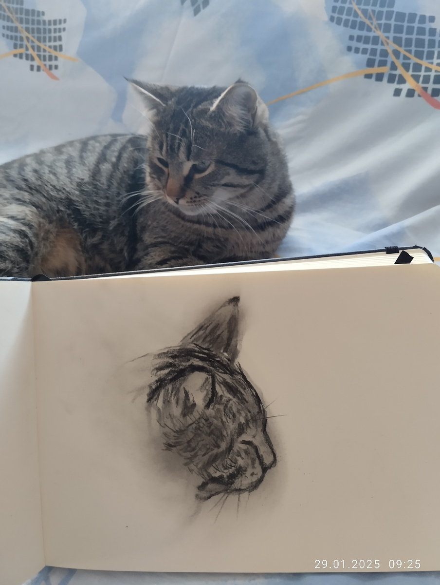 Зарисовка углëм в скетчбуке. 