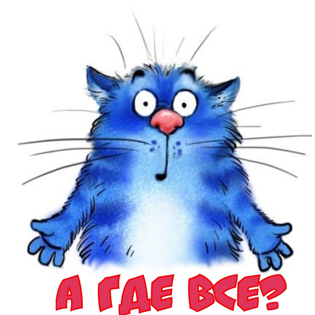 котик Рины Зенюк