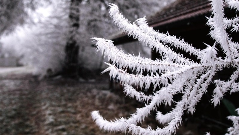 Фото: @EyeEm / freepik.com