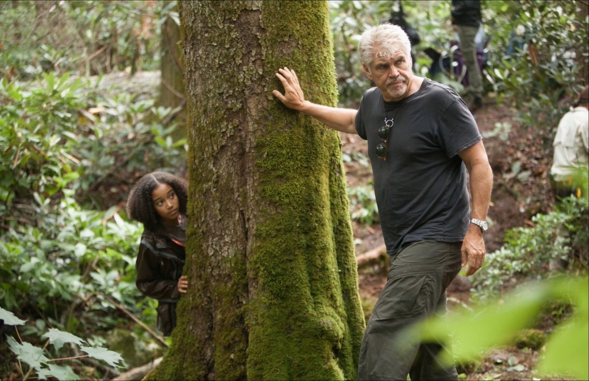 ЯндексКартинки