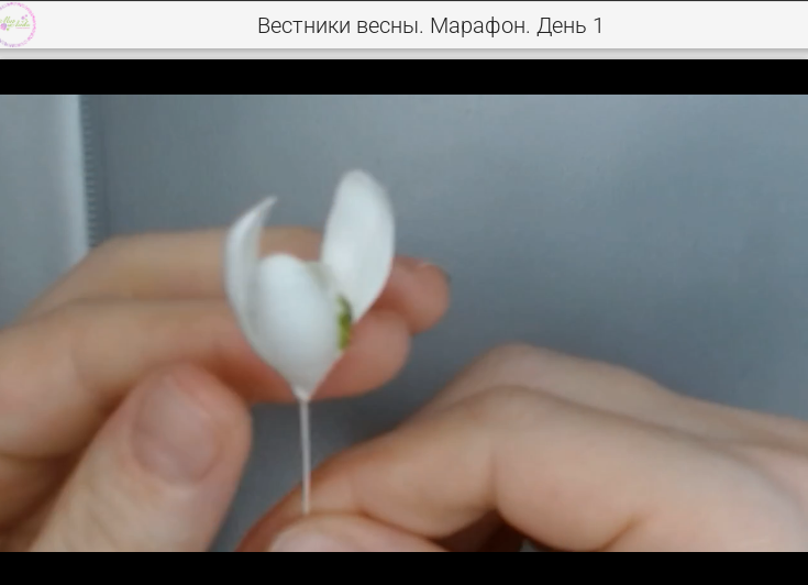 Длинные лепестки. После высыхания оформляют стебель и листья. Кажется, ничего сложного.