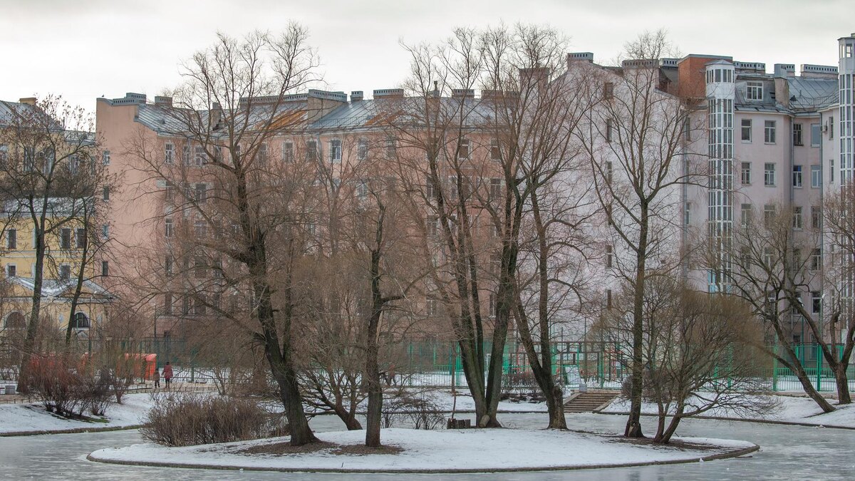    Фото: ИЗВЕСТИЯ/Телеканал «78»