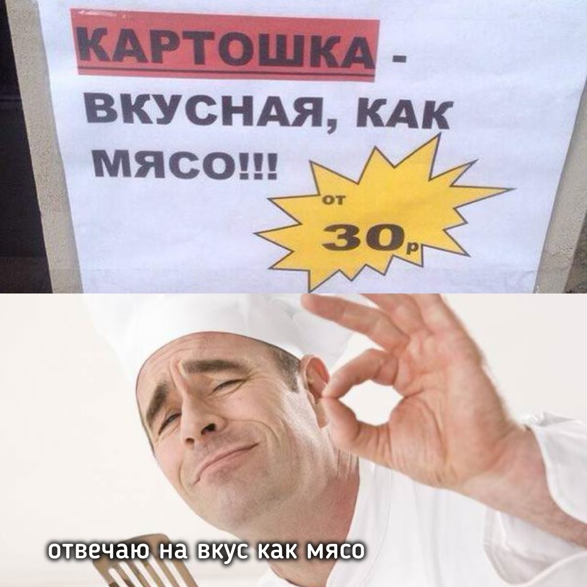 scale_1200