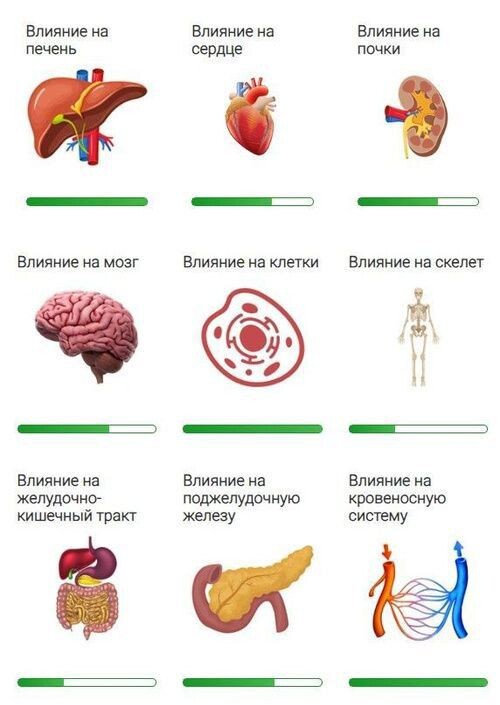 Влияние лецитина на органы и системы организма