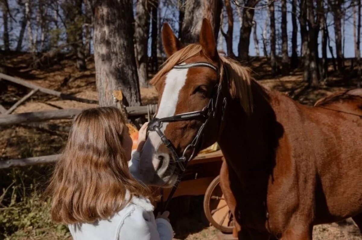    Татьяна организовала приют "Верю в жизнь" в 2006 году.