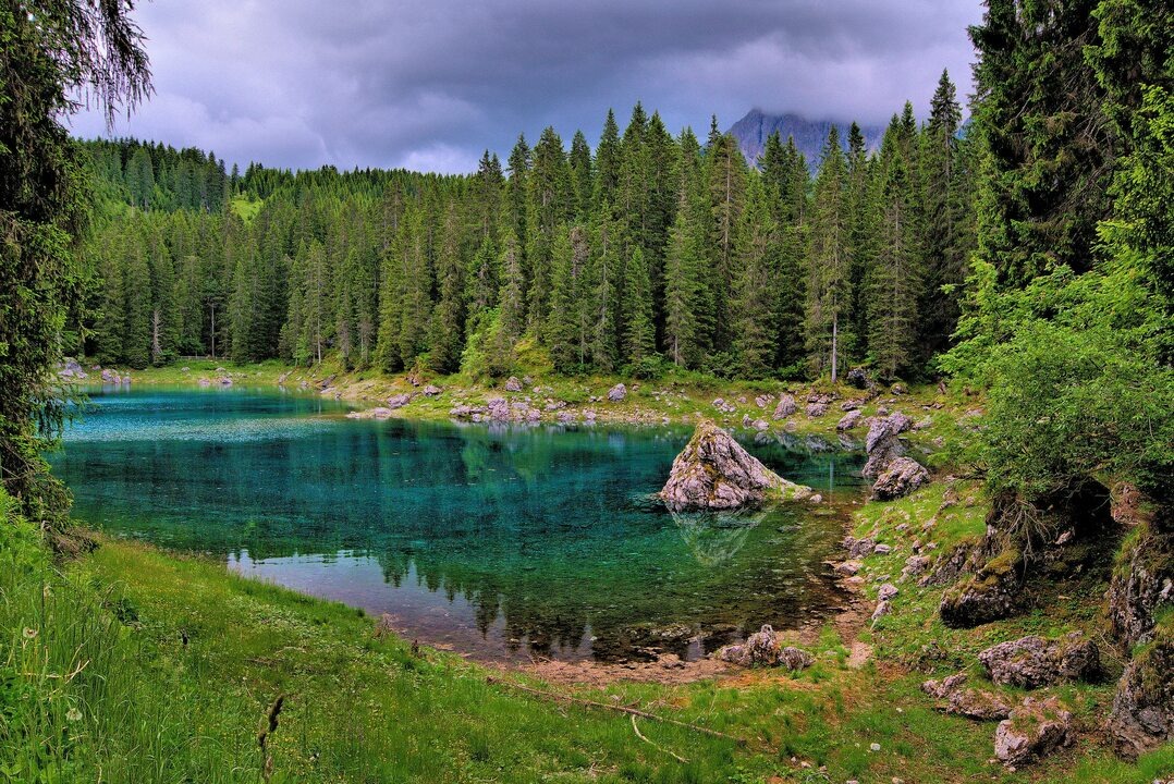 из открытого доступа  