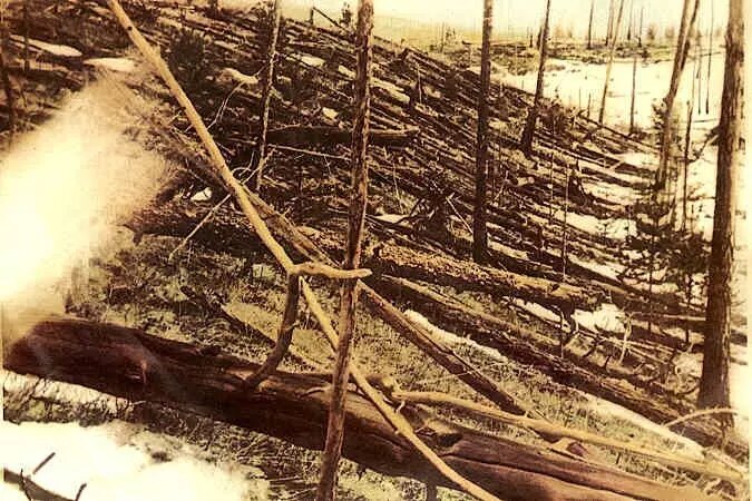 Ореольный бурелом вокруг места взрыва Тунгусского феномена. Фото: Public Domain