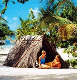 Картина из открытого источника сети Интернет. 