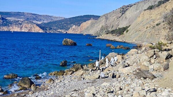    © Telegram Михаил Развожаев