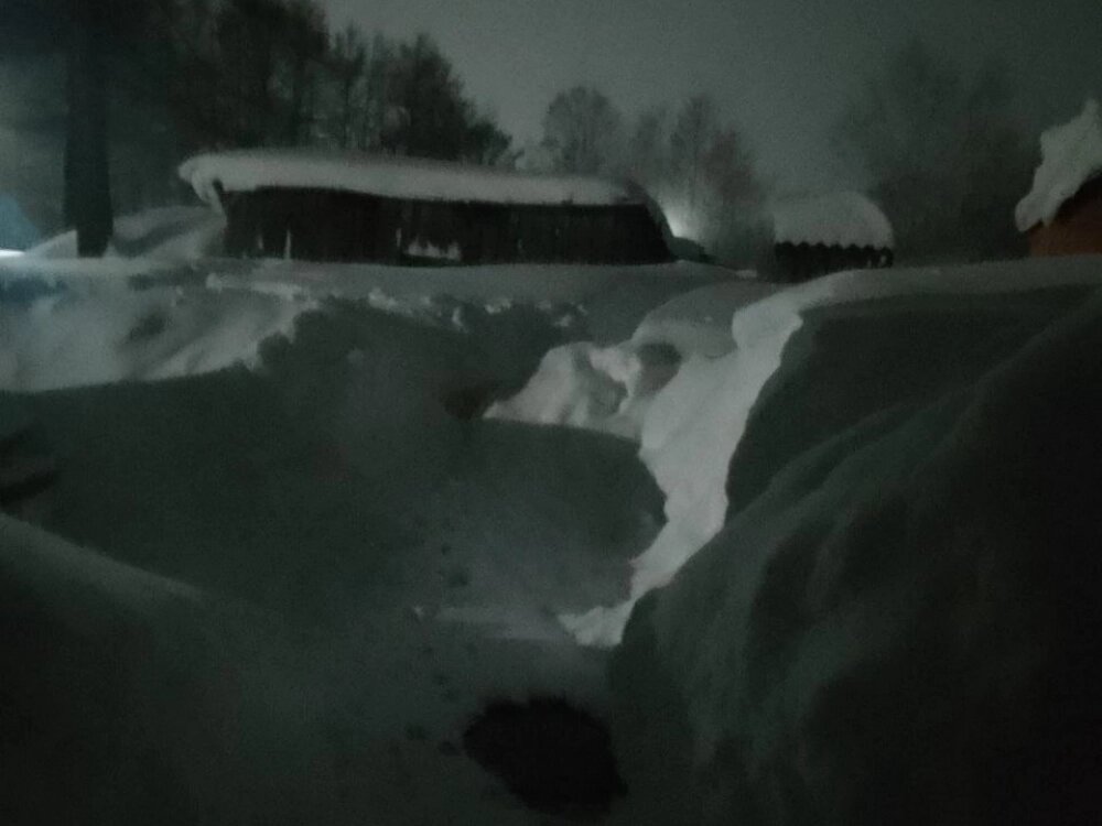    Фото: Telegram-канал @ChpNewsDV