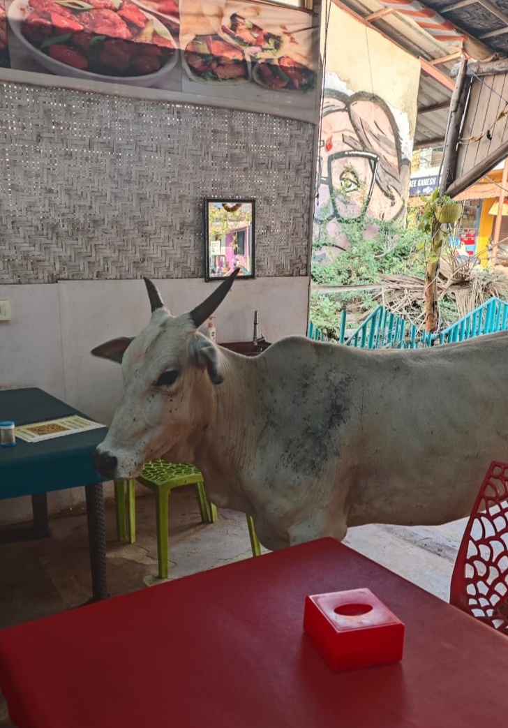 Зашла подкрепиться в кафе