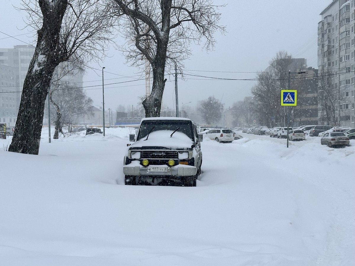 Фото: sakhpress.ru