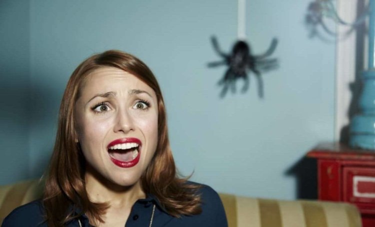 Фото с сайта https://hi-news.ru/