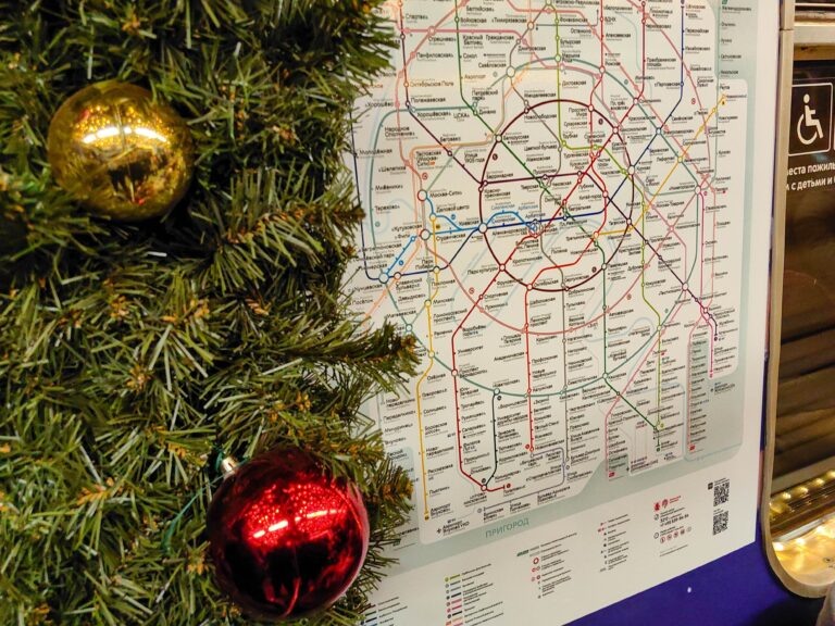    Фото: Кузьмичёнок Василий/Агентство «Москва» Анфиса Слепцова