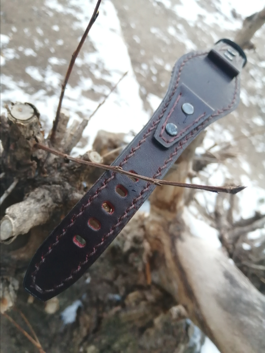 Фотографии автора 