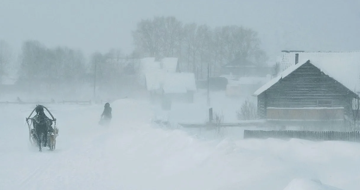 Яндекс картинки