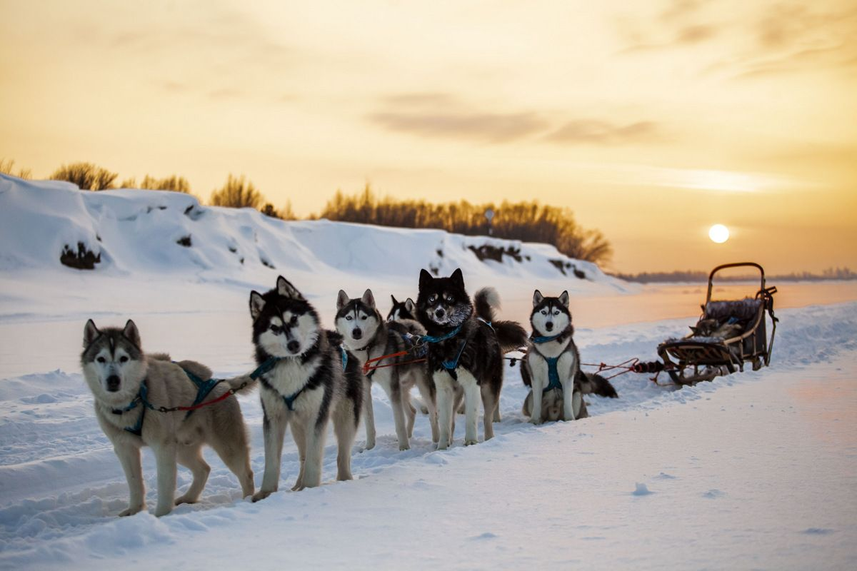 Фото с interfax-russia.ru