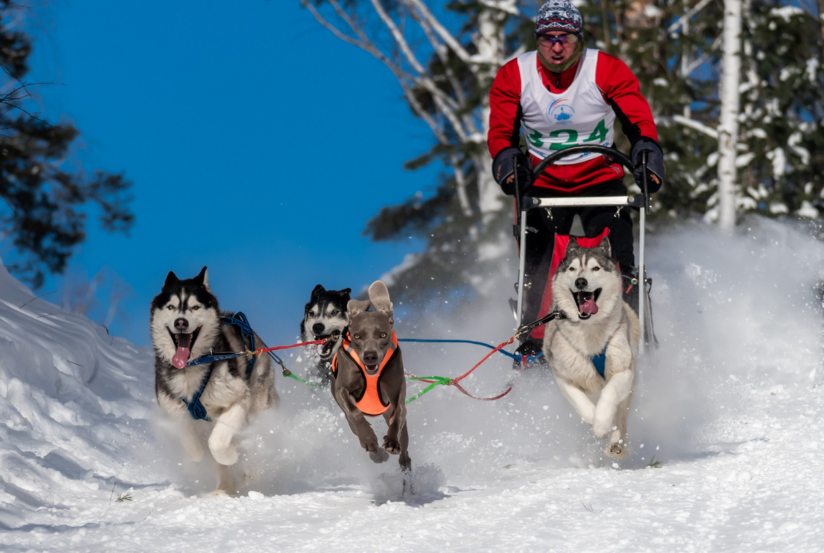 Фото с chel.mk.ru