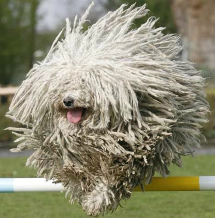 Фото с Pinterest